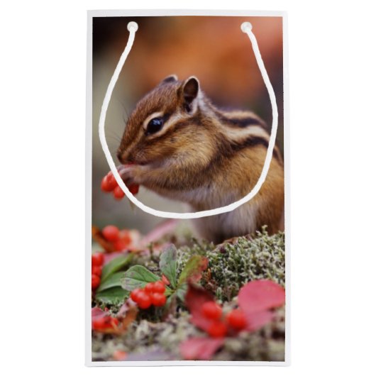 Petit Sac Cadeau Écureuil (Dos)