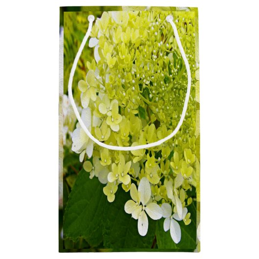 Petit Sac Cadeau Élégante Chartreuse Vert Limelight Hydrangea (Dos)
