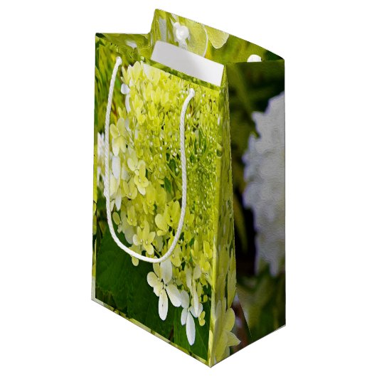 Petit Sac Cadeau Élégante Chartreuse Vert Limelight Hydrangea (Devant Angle)
