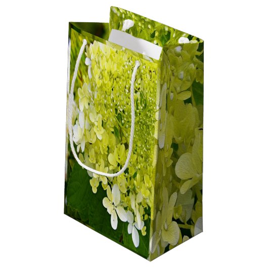 Petit Sac Cadeau Élégante Chartreuse Vert Limelight Hydrangea (Dos Angle)