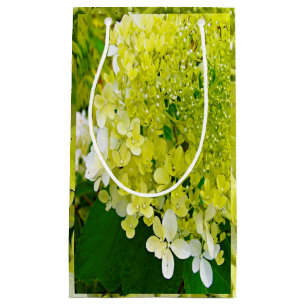 Petit Sac Cadeau Élégante Chartreuse Vert Limelight Hydrangea