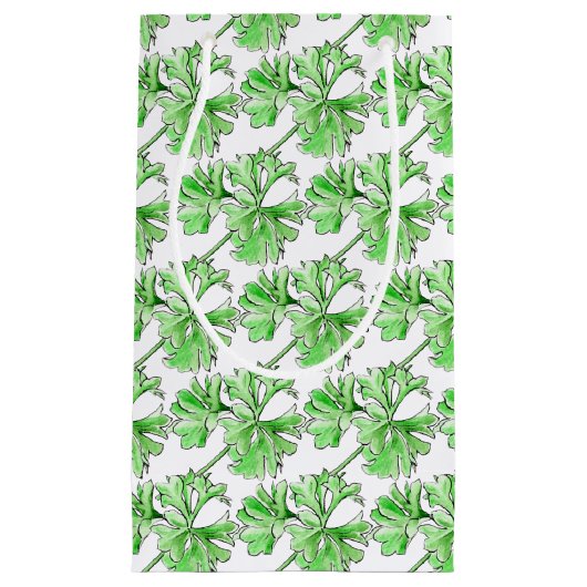 Petit Sac Cadeau Épée d'aquarelle d'herbe de persil (Devant)