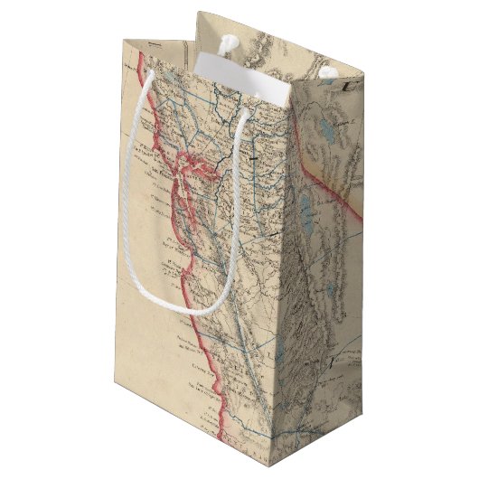 Petit Sac Cadeau État de la Californie (Dos Angle)