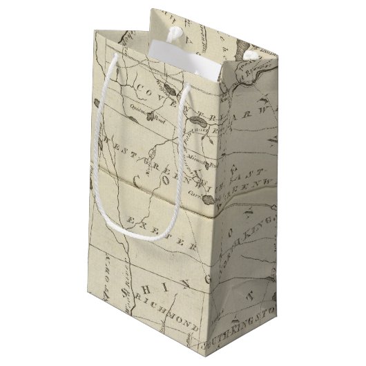 Petit Sac Cadeau État d'île de Rhode (Dos Angle)