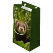 Petit Sac Cadeau Ferret Brown dans le Merci d'herbe (Dos Angle)