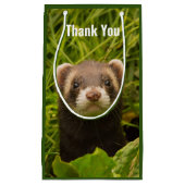 Petit Sac Cadeau Ferret Brown dans le Merci d'herbe (Devant)