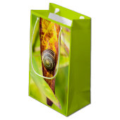 Petit Sac Cadeau fixation calme (Dos Angle)
