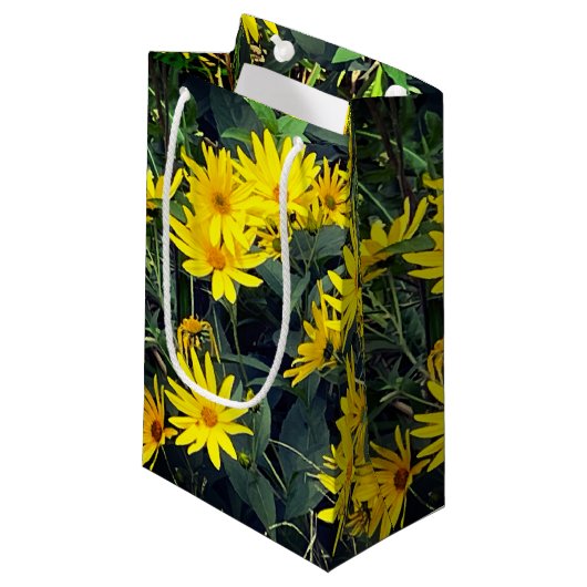 Petit Sac Cadeau Fleurs d'artichauts de Jérusalem (Devant Angle)