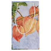 Petit Sac Cadeau Fleurs de lanternes chinoises orange (Dos)