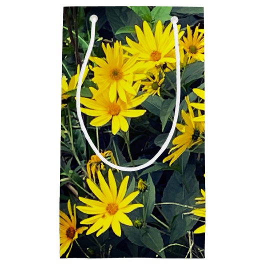 Petit Sac Cadeau Fleurs de topinambour (Devant)