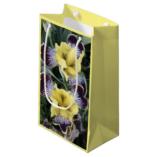 Petit Sac Cadeau Floral d'Irises pourpre et jaune sans fil (Devant Angle)