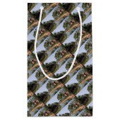 Petit Sac Cadeau Goa Inde (Dos)