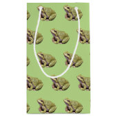 Petit Sac Cadeau Grenouille verte (Dos)