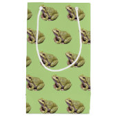 Petit Sac Cadeau Grenouille verte (Devant)