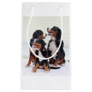Petit Sac Cadeau groupe de chien de montagne bernese