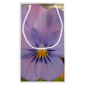 Petit Sac Cadeau Haetzlern (Dos)