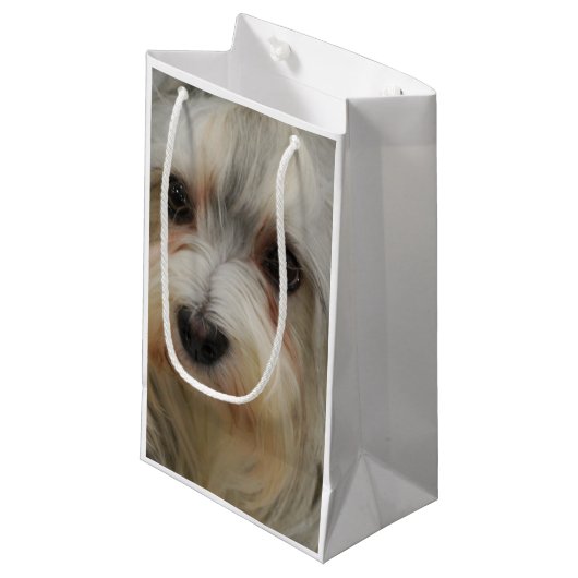 Petit Sac Cadeau Havanese (Devant Angle)