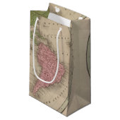Petit Sac Cadeau Hémisphère de l'ouest 9 (Devant Angle)