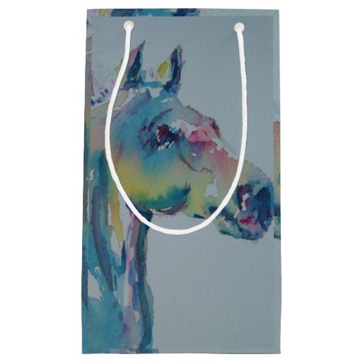 Petit Sac Cadeau Horse de Many Colors (Devant)