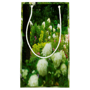 Petit Sac Cadeau Hydrangeas Limelight dans mon jardin Rubio