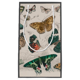 Petit Sac Cadeau Illustration de papillon antique : 1820 Orfèvre