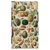 Petit Sac Cadeau Illustration scientifique végétale des fruits (Dos)