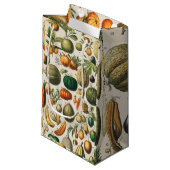 Petit Sac Cadeau Illustration scientifique végétale des fruits (Devant Angle)