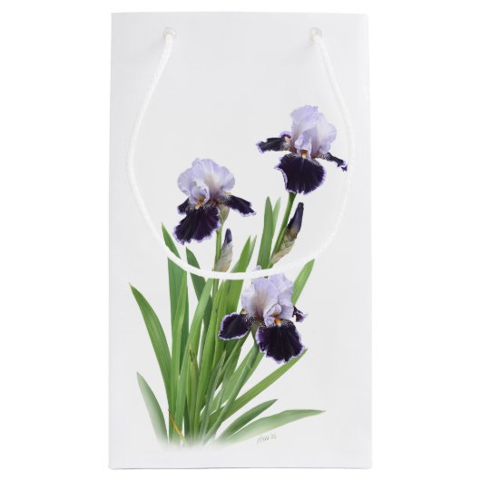 Petit Sac Cadeau Iris Trio (Dos)