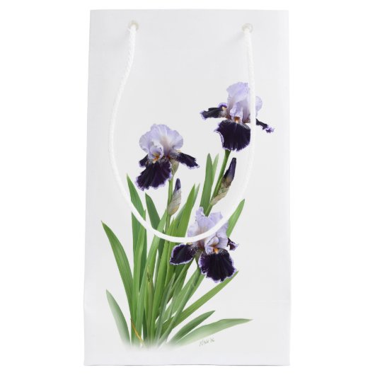 Petit Sac Cadeau Iris Trio (Devant)