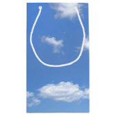 Petit Sac Cadeau Irlandais Golden Retriever avec pot d'or (Dos)