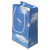 Petit Sac Cadeau Irlandais Golden Retriever avec pot d'or (Dos Angle)