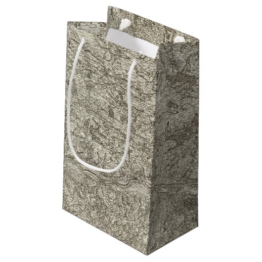 Petit Sac Cadeau Irrite (Dos Angle)
