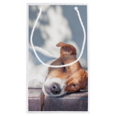 Petit Sac Cadeau Jack Russel (Dos)