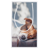 Petit Sac Cadeau Jack Russel (Devant)
