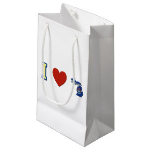 Petit Sac Cadeau J'aime le Michigan