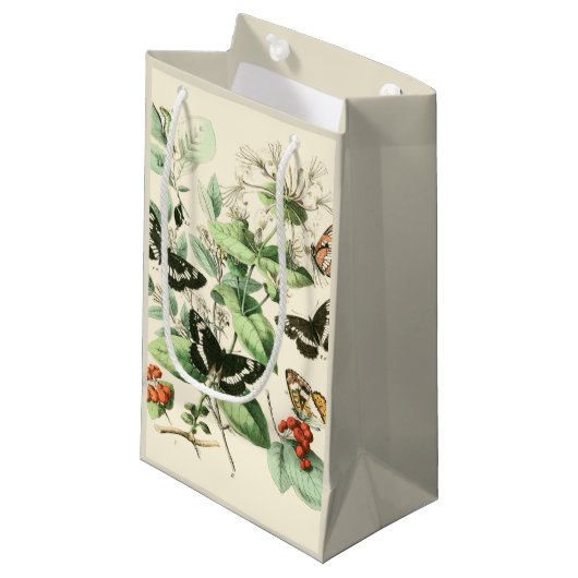 Petit Sac Cadeau Jardin des papillons et des fleurs (Devant Angle)