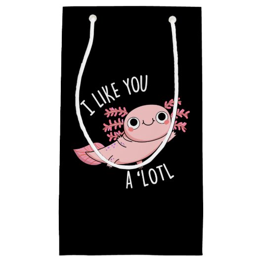 Petit Sac Cadeau Je T'Aime Un Lotl Drôle Axolotl Pun Dark BG (Devant)