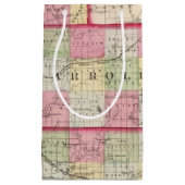 Petit Sac Cadeau Jo Daviess, Carroll, comtés de Whiteside (Devant)