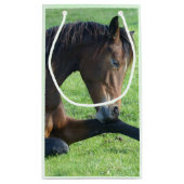 Petit Sac Cadeau Joli Cheval Brown allongé dans l'herbe Anniversair (Dos)