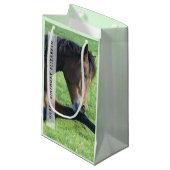 Petit Sac Cadeau Joli Cheval Brown allongé dans l'herbe Anniversair (Devant Angle)