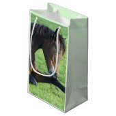 Petit Sac Cadeau Joli Cheval Brown allongé dans l'herbe Anniversair (Dos Angle)