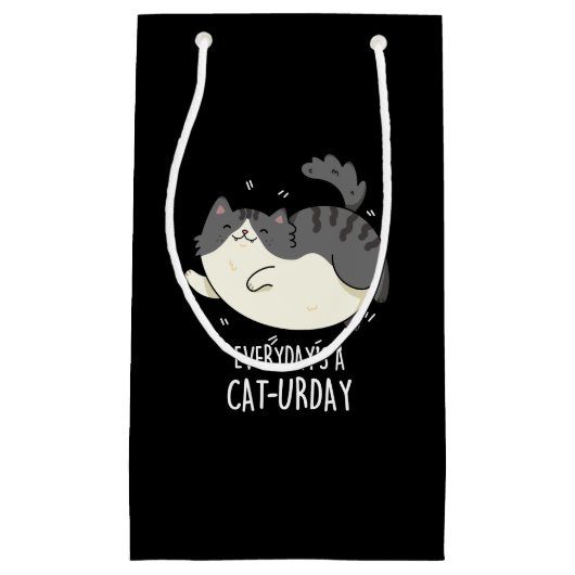 Petit Sac Cadeau Jour après jour Un chat-jour Funny Chat Pun de cha (Devant)