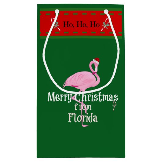 Petit Sac Cadeau Joyeux Noël de Floride (Dos)