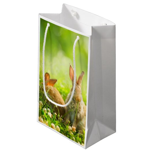 Petit Sac Cadeau Lapins de Pâques (Devant Angle)