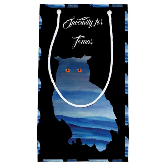 Petit Sac Cadeau L'art de la chouette aquarelle (Devant)