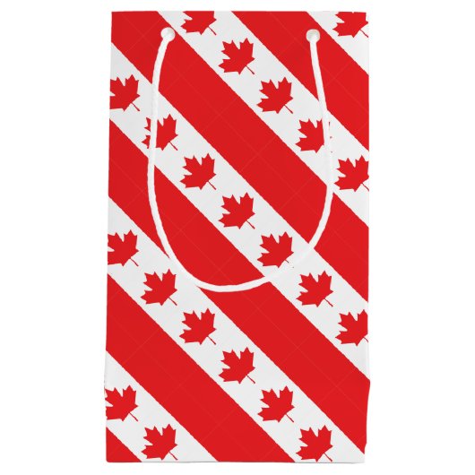 Petit Sac Cadeau Le Canada (Devant)