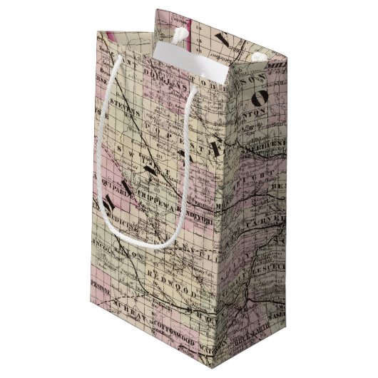 Petit Sac Cadeau Le Minnesota 9 (Dos Angle)