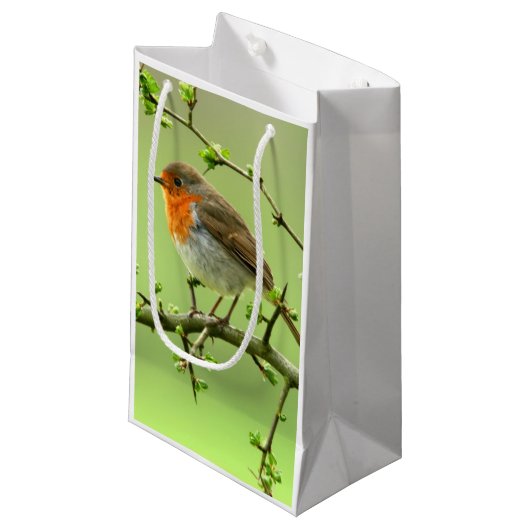 Petit Sac Cadeau Le Robin (Devant Angle)