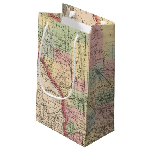 Petit Sac Cadeau Le Wisconsin 7 (Dos Angle)