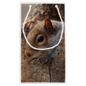 Petit Sac Cadeau L'écureuil mignon regarde par son trou (Dos)